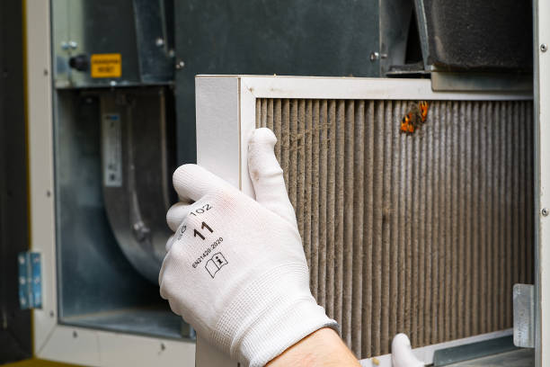 Best Best Air Duct Cleaning Company  in College, AK