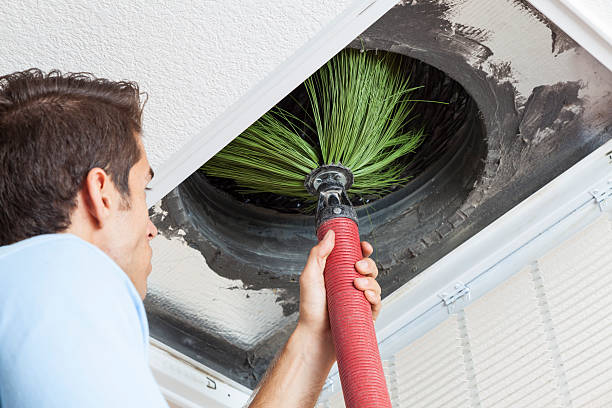 Best Home Air Vent Cleaning  in College, AK